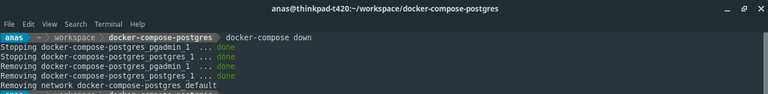 docker-compose down